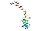 Nasal embryonic LHRH Factor (NELF)