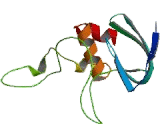 Nascent Polypeptide Associated Complex Alpha 2 (NACa2)