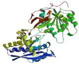 Natriuretic Peptide Receptor 1 (NPR1)