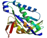 Natriuretic Peptide Receptor 2 (NPR2)