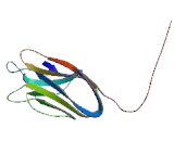 Natural Cytotoxicity Triggering Receptor 3 (NCR3)