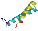 Natural Killer Cell Group 7 Sequence (NKG7)