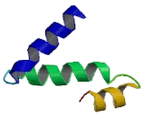 Nedd4 Family Interacting Protein 2 (NDFIP2)