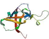 Nef Associated Protein 1 (NAP1)