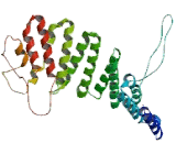 Nephronophthisis 3, Adolescent (NPHP3)