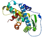 Nerve Growth Factor IB (NGFIB)