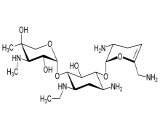 Netilmicin (NTM)