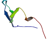 Neural Precursor Cell Expressed, Developmentally Down Regulated 4 (NEDD4)