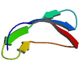 Neurexophilin 1 (NXPH1)