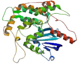 Neurobeachin Like Protein 1 (NBEAL1)