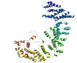 Neuroblastoma Breakpoint Family, Member 10 (NBPF10)