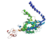 Neuroblastoma Breakpoint Family, Member 11 (NBPF11)