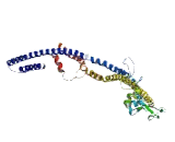 Neuroblastoma Breakpoint Family, Member 15 (NBPF15)