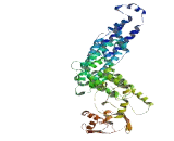 Neuroblastoma Breakpoint Family, Member 20 (NBPF20)