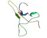 Neuroblastoma Breakpoint Family, Member 4 (NBPF4)