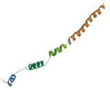 Neuroblastoma Breakpoint Family, Member 6 (NBPF6)