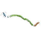 Neuroblastoma Breakpoint Family, Member 7 (NBPF7)