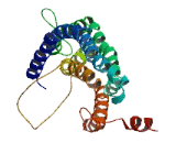 Neuroblastoma Breakpoint Family, Member 9 (NBPF9)