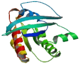 Neuroblastoma RAS Viral Oncogene Homolog (NRAS)