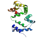 Neurocalcin Delta (NCALd)