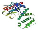 Neurofibromin 2 (NF2)