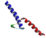 Neurogenic Differentiation 1 (NEUROD1)