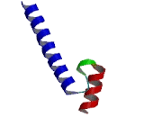 Neurogenic Differentiation 4 (NEUROD4)