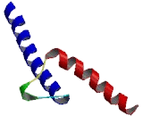 Neurogenic Differentiation 6 (NEUROD6)