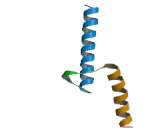 Neurogenin 1 (NEUROG1)