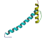 Neurogenin 3 (NEUROG3)