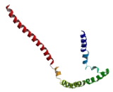 Neuroguidin (NGDN)