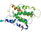 Neuromedin B Receptor (NMBR)