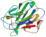 Neuronal Pentraxin I (NPTX1)