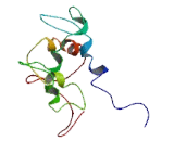 Neuronal Tyrosine Phosphorylated Phosphoinositide 3 Kinase Adapter 2 (NYAP2)