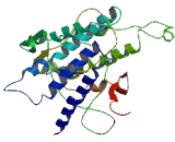 Neuropeptide FF Receptor 1 (NPFFR1)