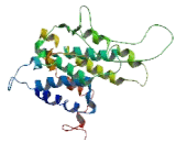 Neuropeptide FF Receptor 2 (NPFFR2)