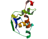 Neuropeptide W (NPW)