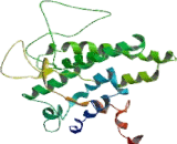 Neuropeptides B/W Receptor 1 (NPBWR1)