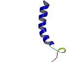 Neuropeptides B/W Receptor 2 (NPBWR2)