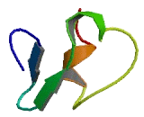 Neuropilin And Tolloid Like Protein 2 (NETO2)