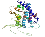 Neurotensin Receptor 2 (NTSR2)