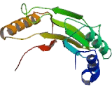 Neutral Sphingomyelinase (NSMASE)