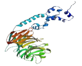 Neutral Sphingomyelinase Activation Associated Factor (NSMAF)