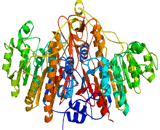 Neutrophil Alkaline Phosphatase (NAP)