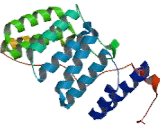 Neutrophil Cytosolic Factor 2 (NCF2)