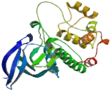 Never In Mitosis Gene A Related Kinase 1 (NEK1)