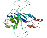 Nicotinamide Nucleotide Adenylyltransferase 2 (NMNAT2)