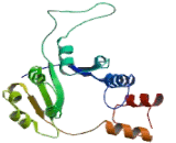 Nicotinamide Nucleotide Adenylyltransferase 3 (NMNAT3)