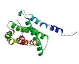 Niemann Pick Disease Type C1 (NPC1)