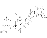 Nigericin (Nig)